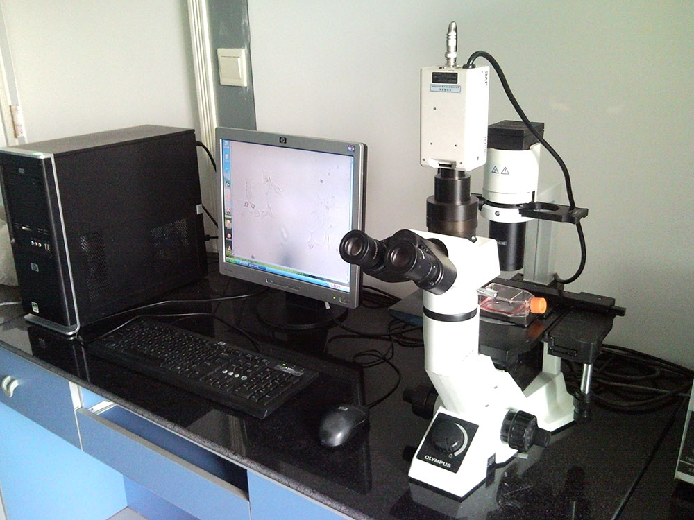 OLYMPUS倒置顯微鏡及成像設備